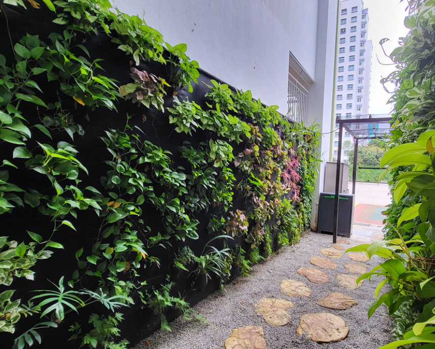 This vertical greenery installation is constantly monitored by the students who promptly carries out any place replacement and enhancement works.